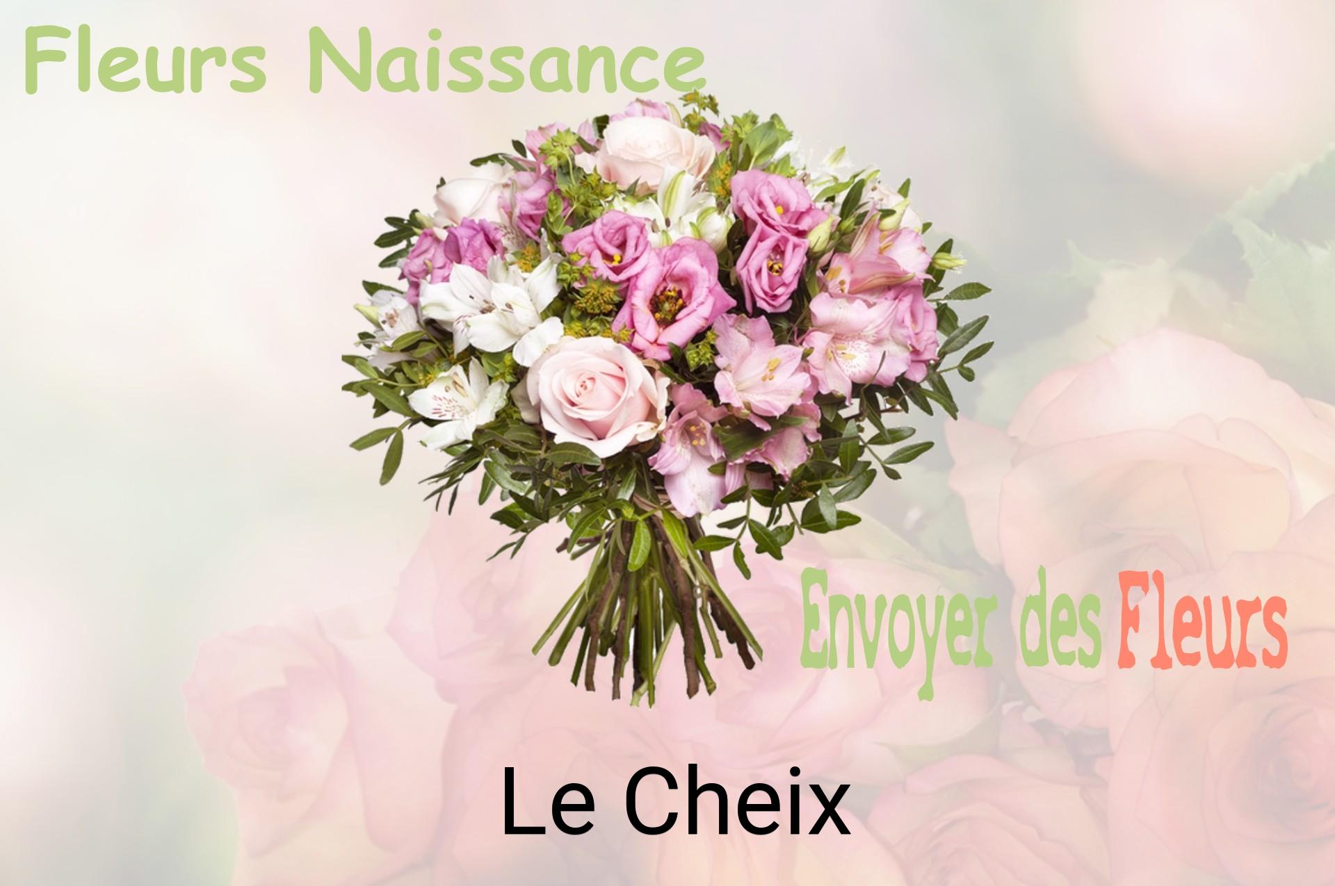 Bouquet de fleurs de naissance livré à Le Cheix